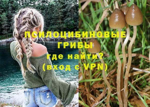амф Арсеньев