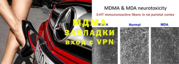 трава Аркадак