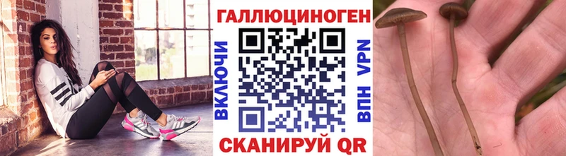 Галлюциногенные грибы ЛСД  площадка Telegram  Терек  где продают наркотики 