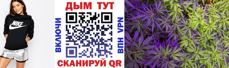 Бошки Шишки сатива Терек